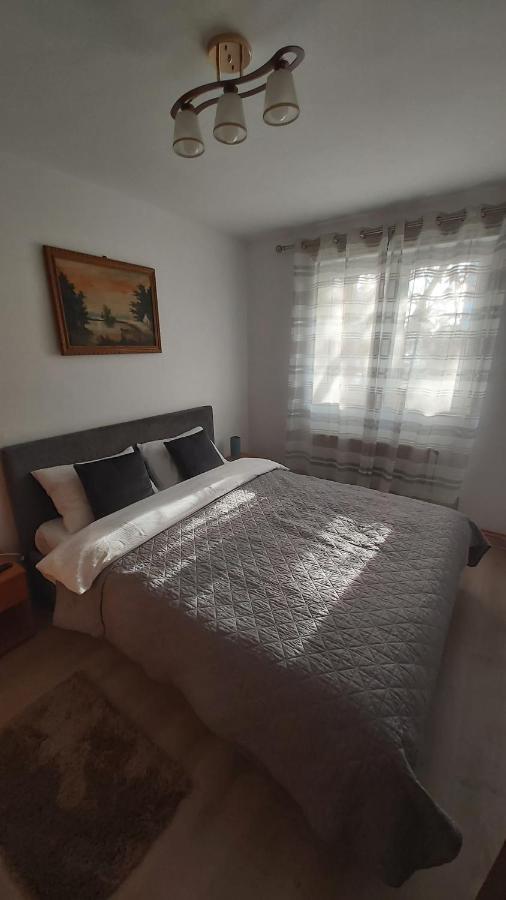 Relax Apartament Daire Satu Mare Dış mekan fotoğraf